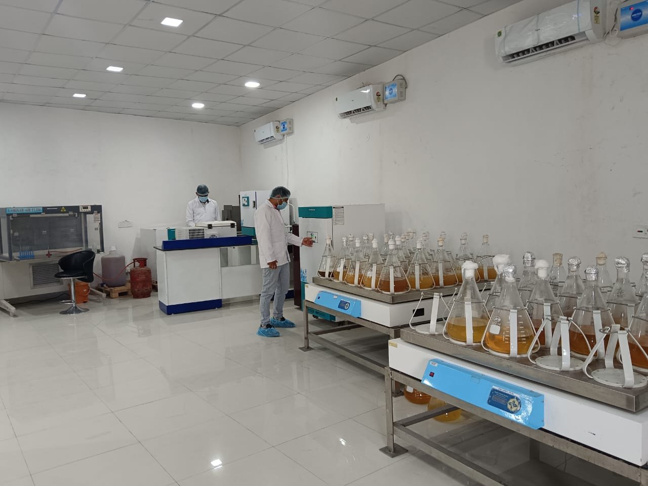 Scientists working in laboratory